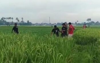 Digerebek Polisi, Dugaan Sabung Ayam di Pakuhaji Bikin Puluhan Orang Kabur